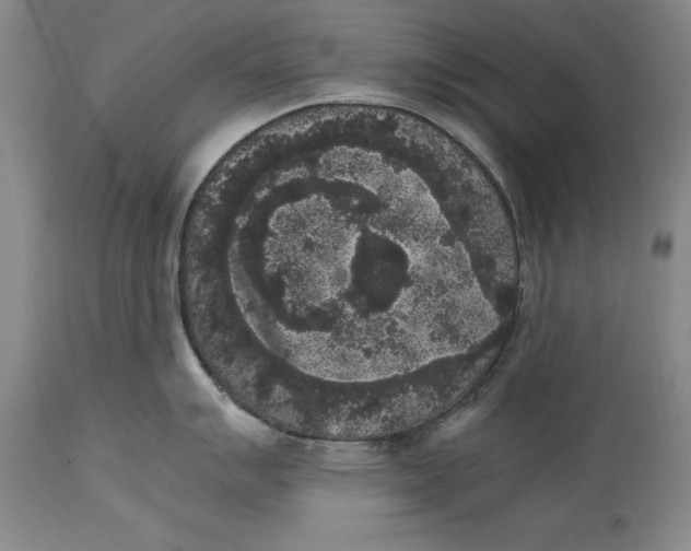 X0000114411007200911061556