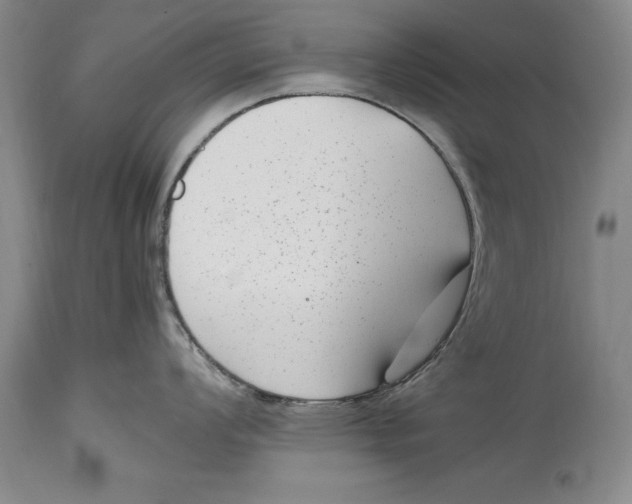 X0000114411008200911061556