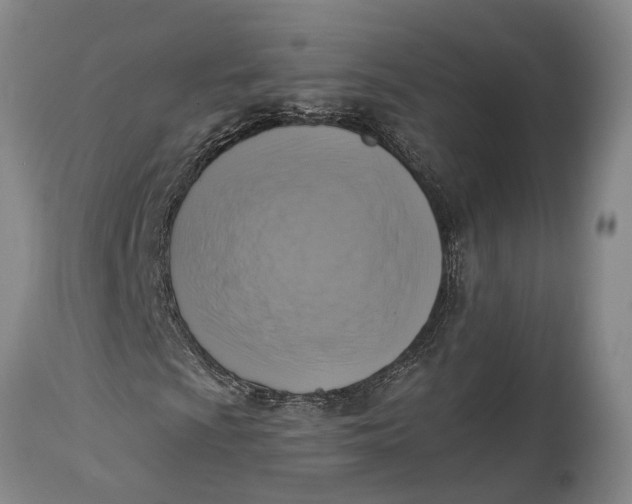 X0000114411009200911061555