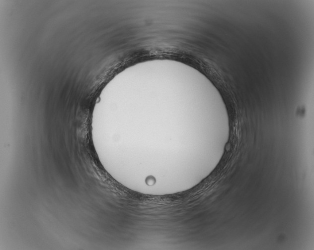 X0000114411012200911061555