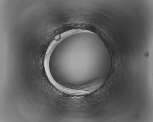 X0000114411013200911061555