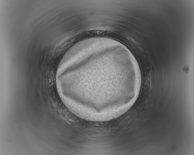 X0000114411014200911061555