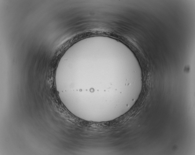 X0000114411015200911061555