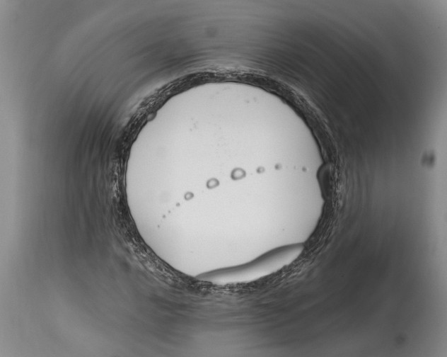 X0000114411016200911061555