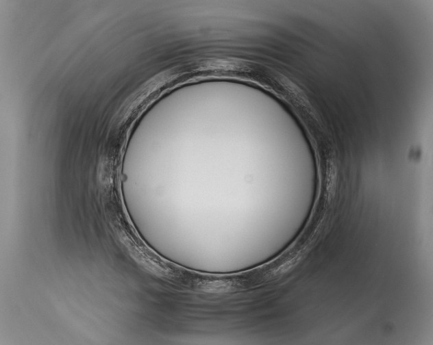 X0000114411017200911061555