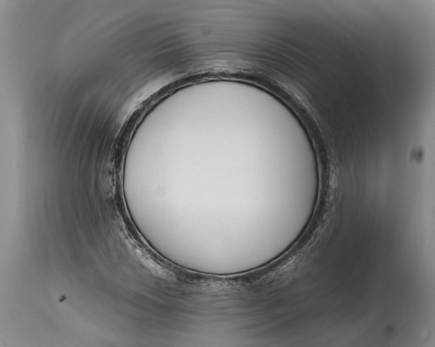 X0000114411018200911061555