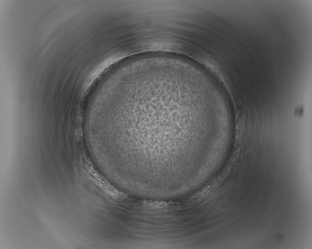 X0000114411019200911061555