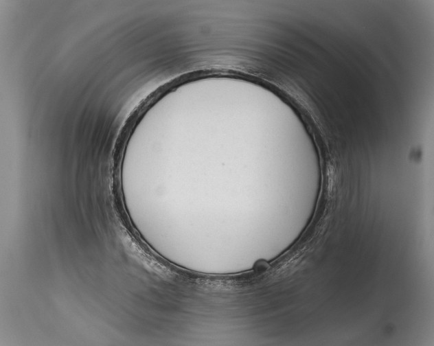 X0000114411020200911061555