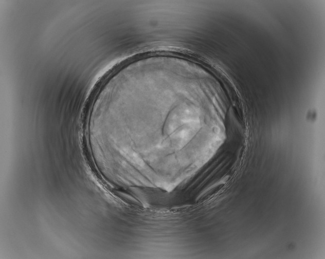 X0000114411024200911061555