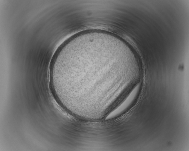 X0000114411028200911061555