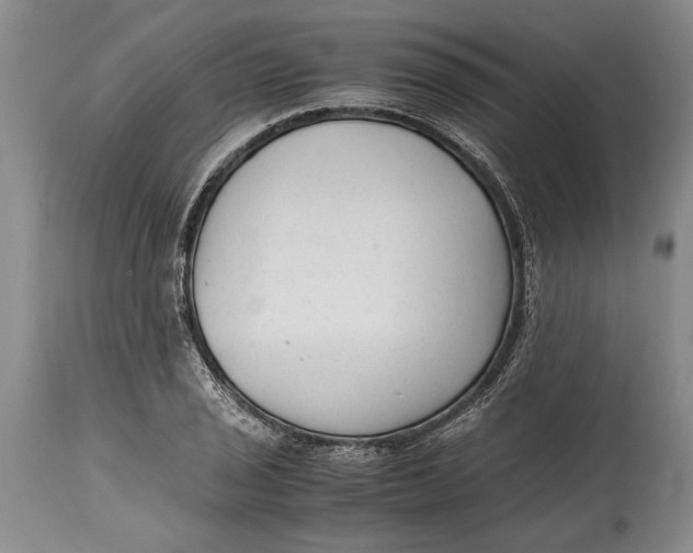 X0000114411029200911061555