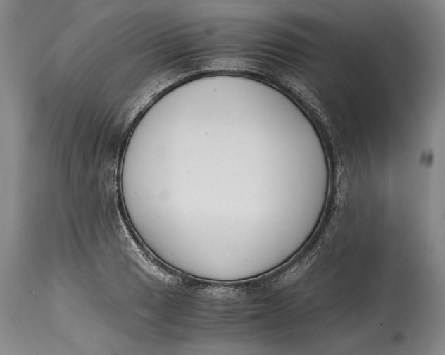 X0000114411033200911061555