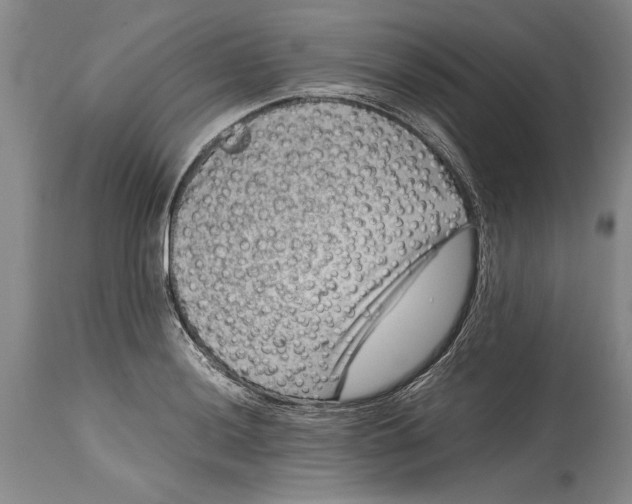 X0000114411036200911061556