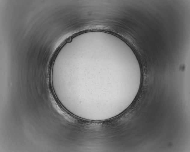 X0000114411038200911061556