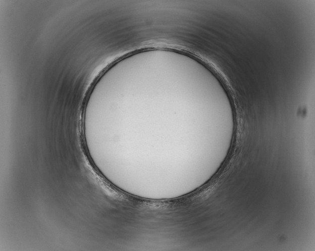 X0000114411040200911061556