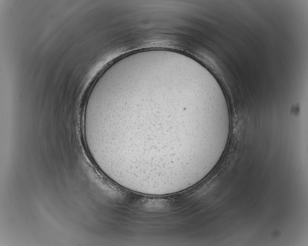 X0000114411043200911061556