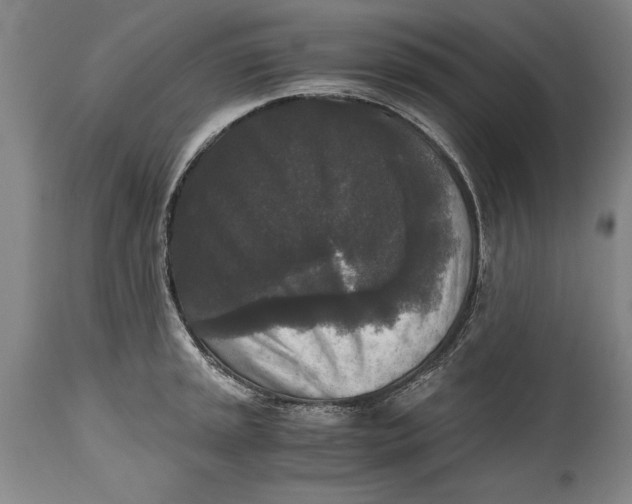 X0000114411045200911061556