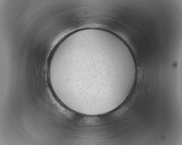 X0000114411046200911061556