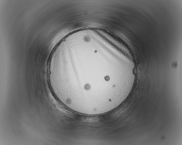 X0000114411047200911061556