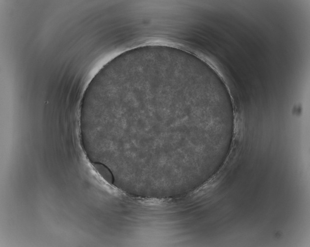 X0000114411048200911061556