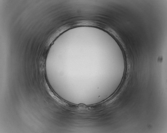 X0000114411049200911061556