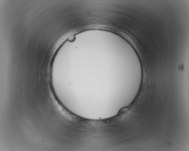 X0000114411050200911061556