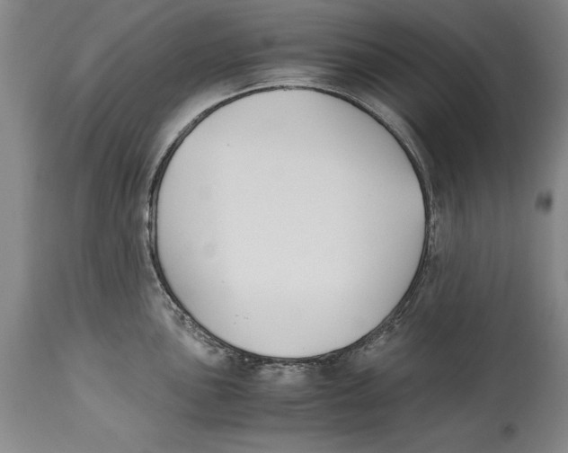 X0000114411051200911061556