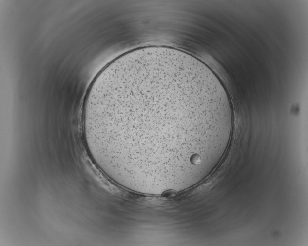 X0000114411052200911061556