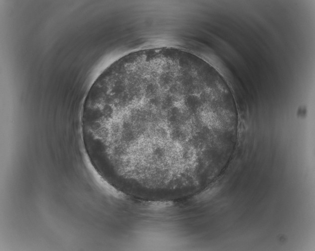 X0000114411055200911061556