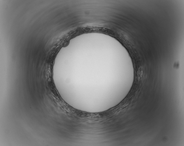 X0000114411062200911061555