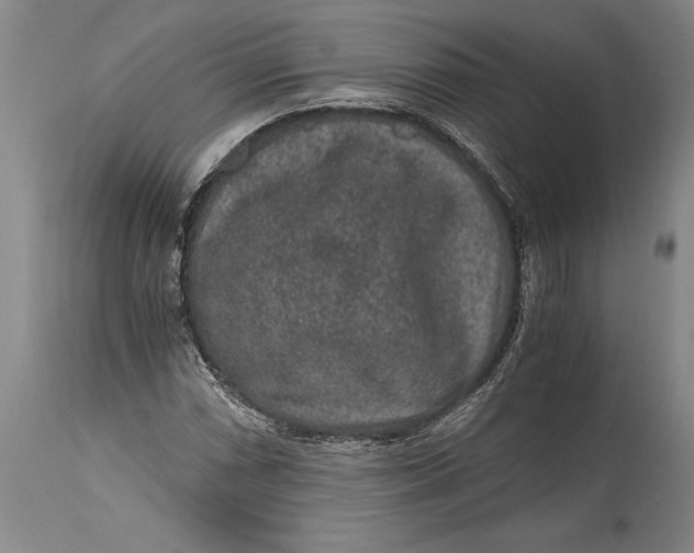 X0000114411066200911061555