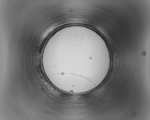 X0000114411067200911061555