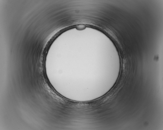 X0000114411068200911061555