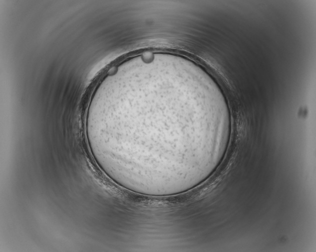 X0000114411070200911061555