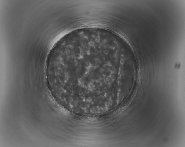 X0000114411071200911061555