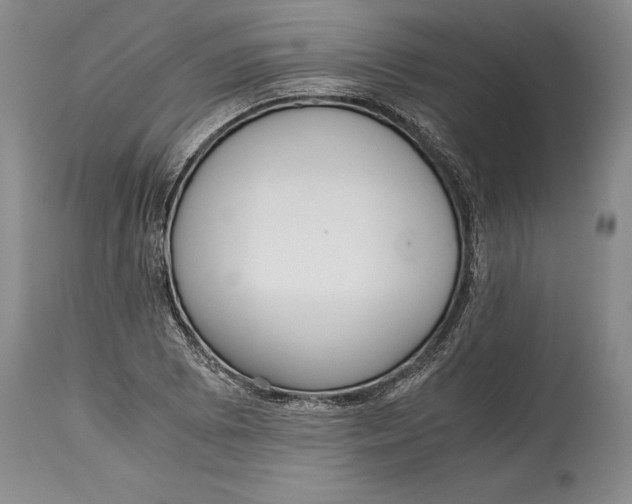 X0000114411073200911061555