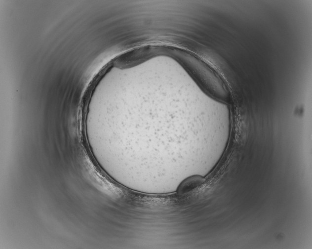 X0000114411076200911061555