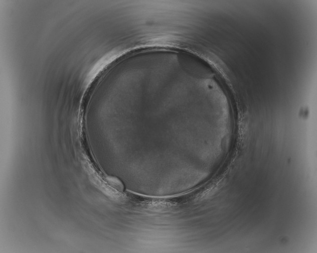 X0000114411077200911061555