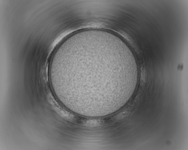 X0000114411078200911061555