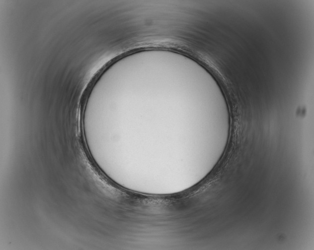 X0000114411079200911061555