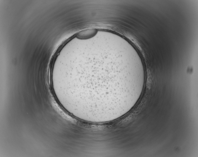 X0000114411080200911061555