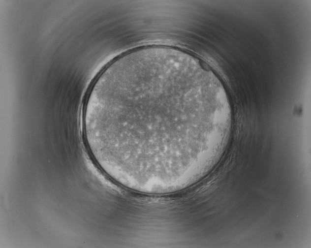 X0000114411084200911061555