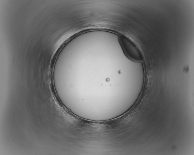 X0000114411085200911061555