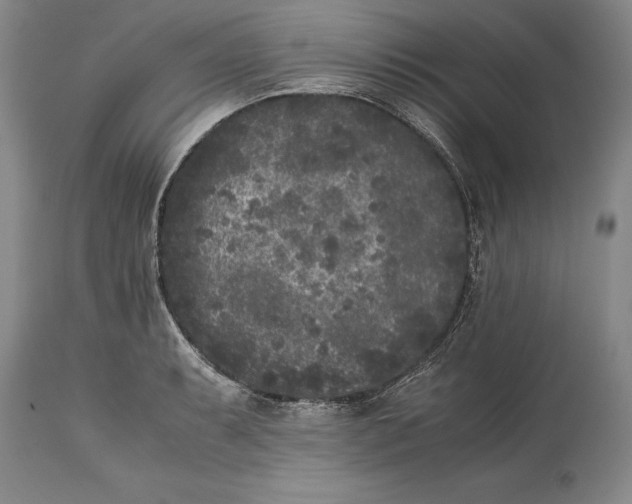 X0000114411087200911061555