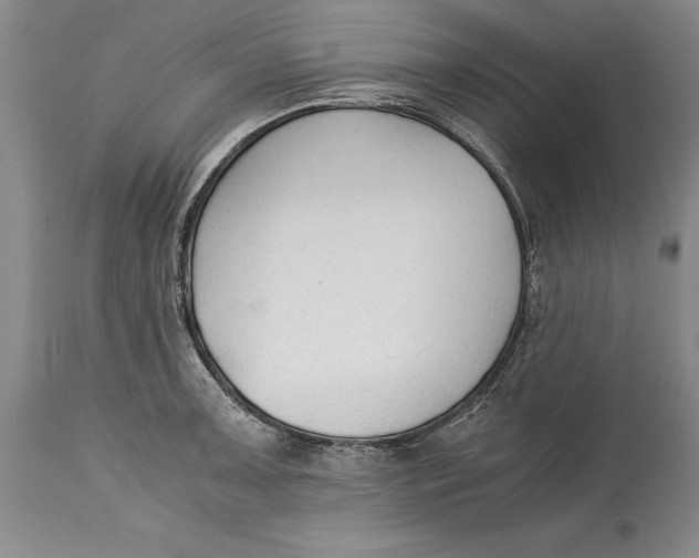 X0000114411091200911061554