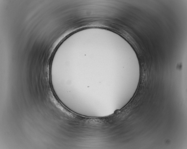 X0000114411092200911061554