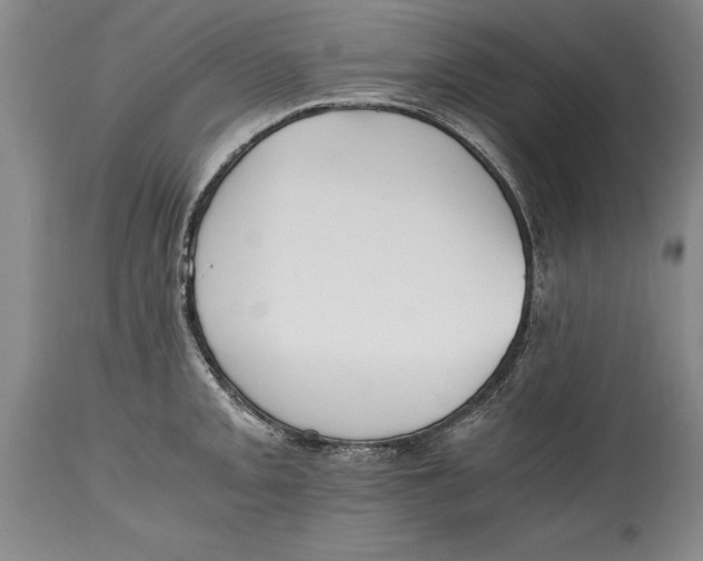 X0000114411093200911061554