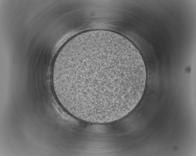 X0000114411094200911061554