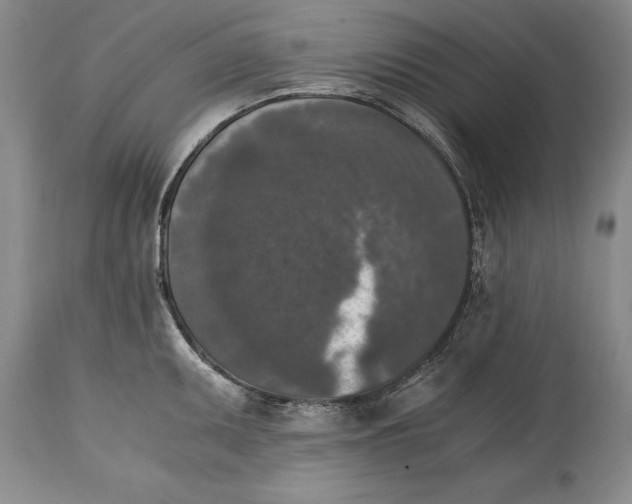 X0000114411095200911061554