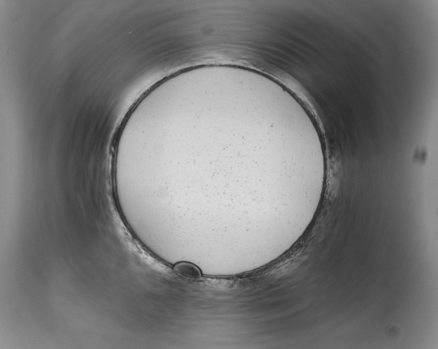 X0000114411096200911061554